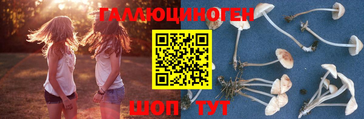Великий Устюг  Галлюциногенные грибы Psilocybe  Вход с VPN 