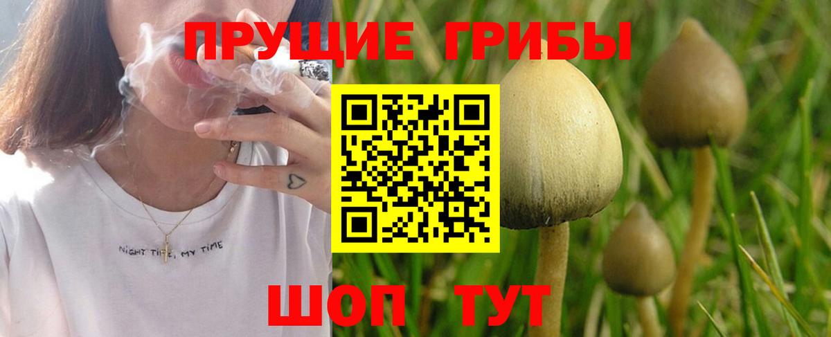 Псилоцибиновые грибы мухоморы Великий Устюг